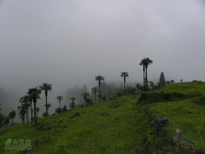 莆田大洋乡－永泰斗湖天池（往返）2012_0526_153505