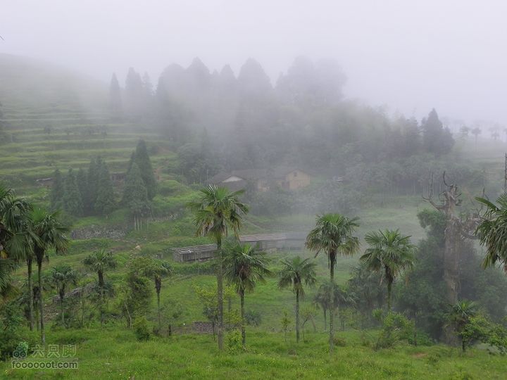 莆田大洋乡－永泰斗湖天池（往返）2012_0526_153607