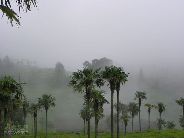 莆田大洋乡－永泰斗湖天池（往返）2012_0526_153626