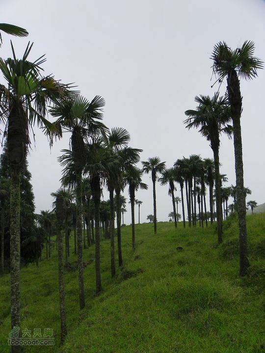 莆田大洋乡－永泰斗湖天池（往返）2012_0526_153721