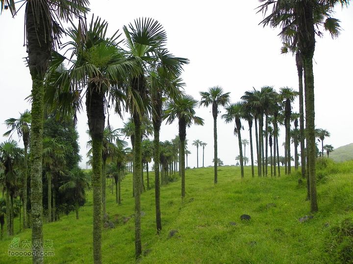 莆田大洋乡－永泰斗湖天池（往返）2012_0526_153732