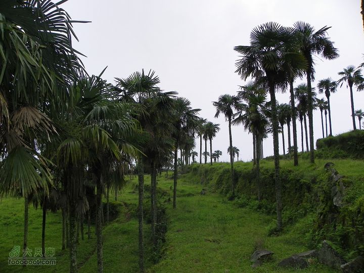 莆田大洋乡－永泰斗湖天池（往返）2012_0526_153909