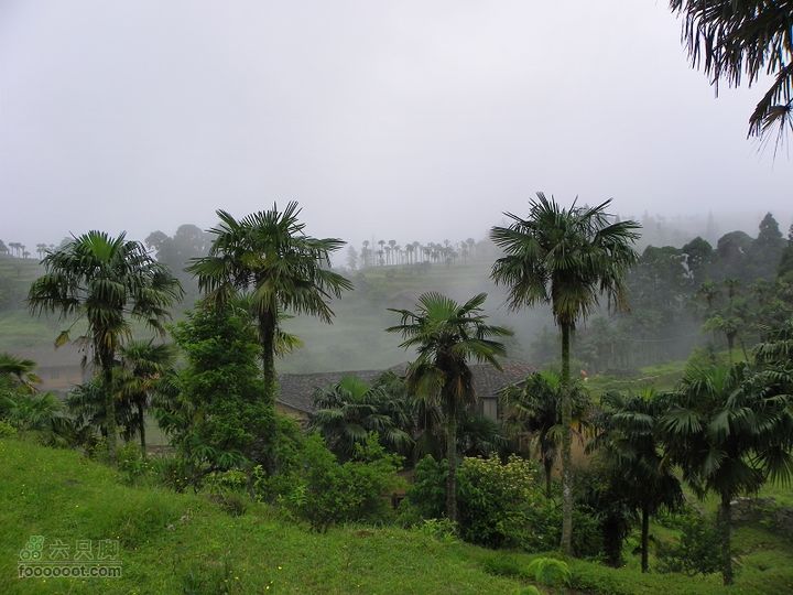 莆田大洋乡－永泰斗湖天池（往返）2012_0526_153926