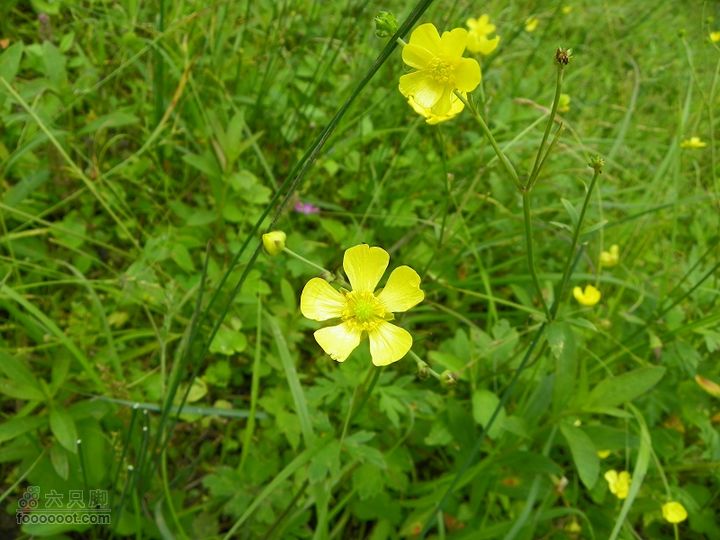 莆田大洋乡－永泰斗湖天池（往返）2012_0526_154035