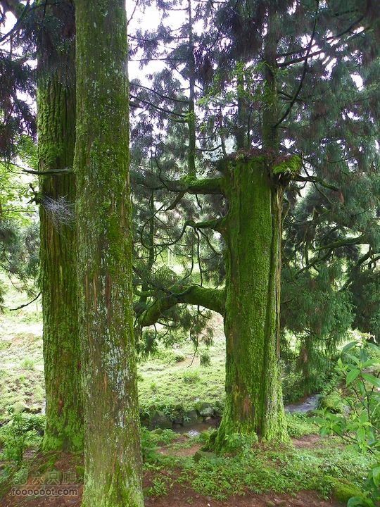 莆田大洋乡－永泰斗湖天池（往返）2012_0526_154335