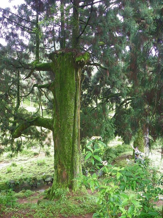 莆田大洋乡－永泰斗湖天池（往返）2012_0526_154343