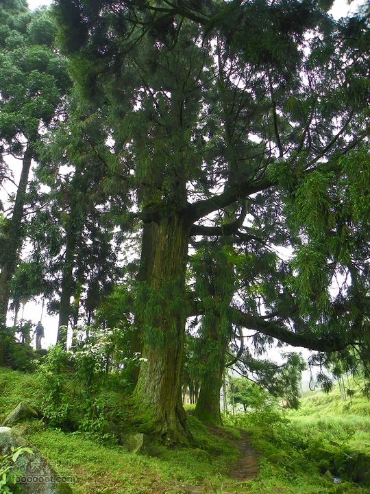 莆田大洋乡－永泰斗湖天池（往返）2012_0526_154429