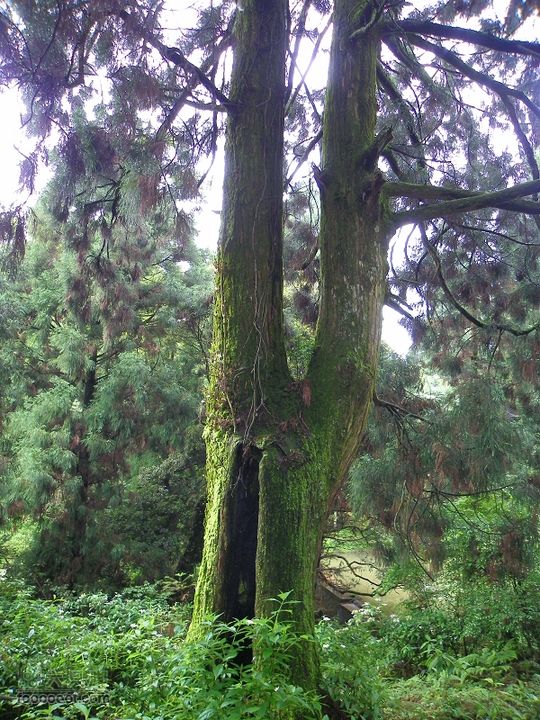 莆田大洋乡－永泰斗湖天池（往返）2012_0526_154700