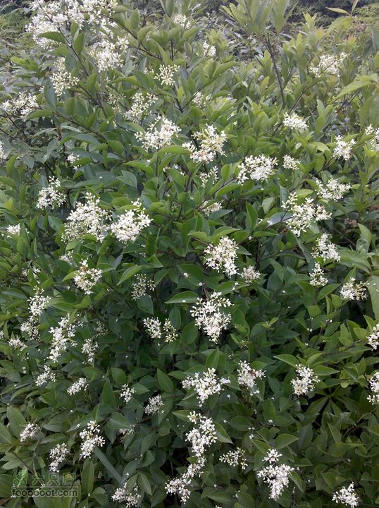 莆田大洋乡－永泰斗湖天池（往返）2012_0526_161807