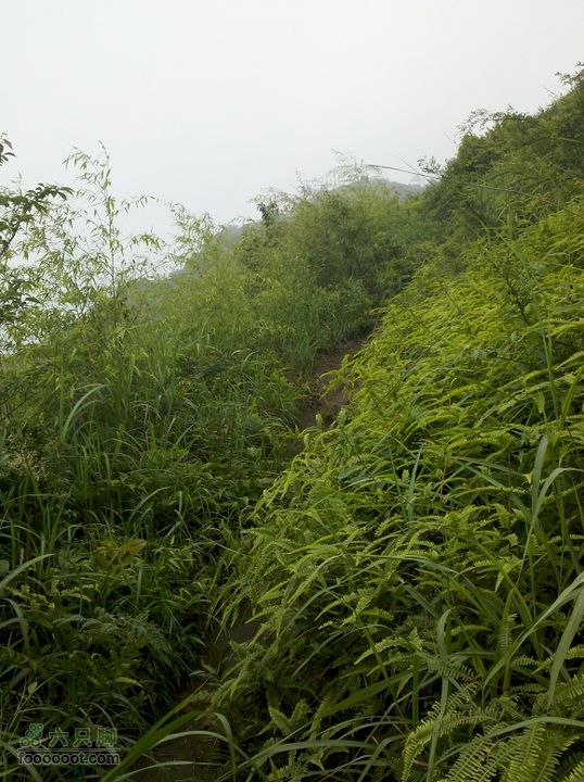 莆田大洋乡－永泰斗湖天池（往返）2012_0526_162840