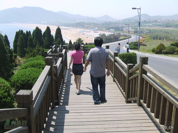 闲游大连 DSCF4673