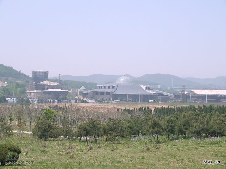 闲游大连 DSCF4675