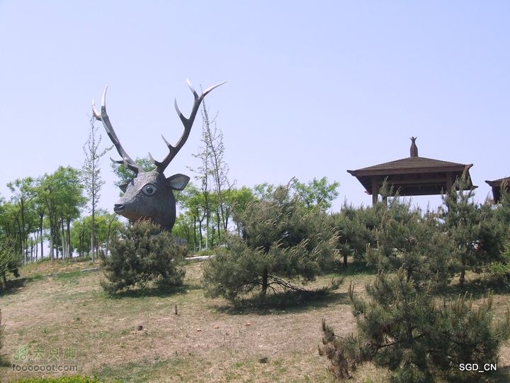 闲游大连 DSCF4676