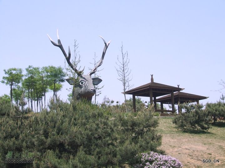 闲游大连 DSCF4677