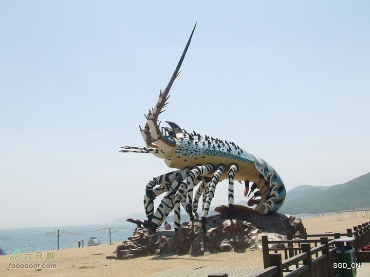 闲游大连 DSCF4678