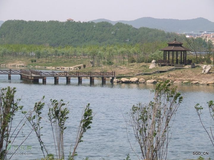 闲游大连 DSCF4682