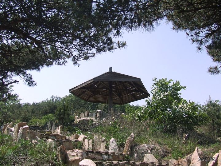 闲游大连 DSCF4693
