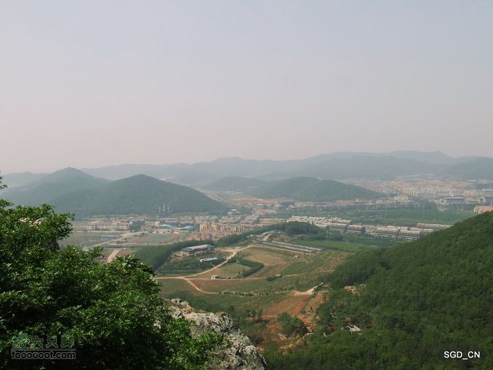 闲游大连 DSCF4703