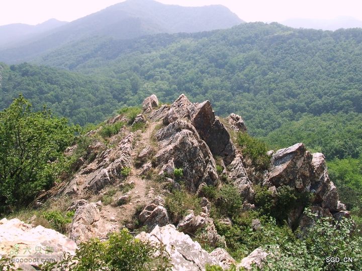 闲游大连 DSCF4706