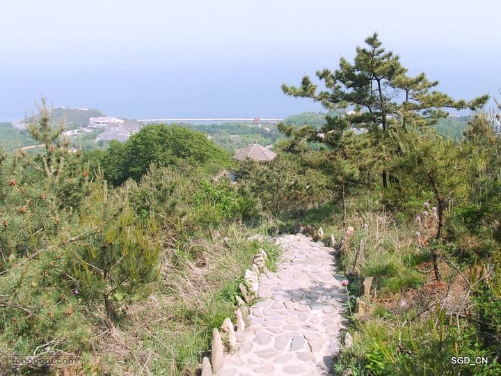 闲游大连 DSCF4716