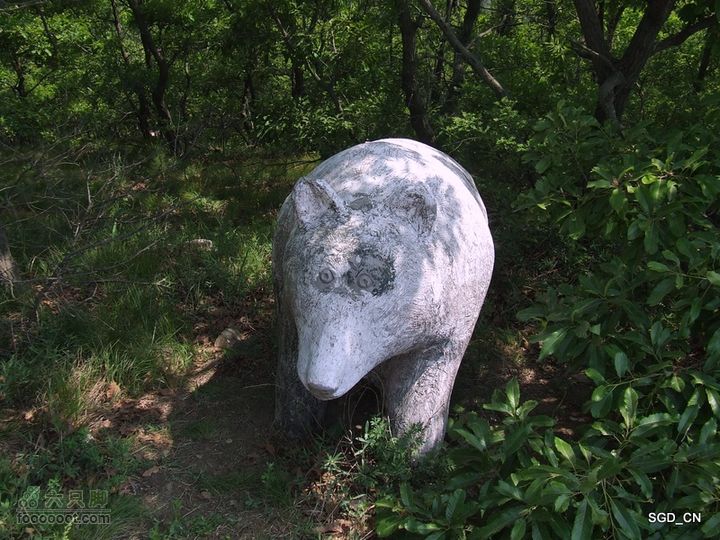 闲游大连 DSCF4719