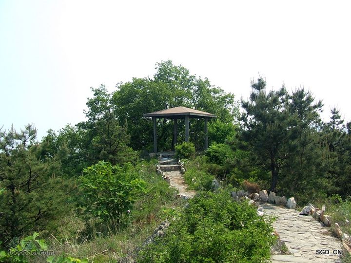 闲游大连 DSCF4728