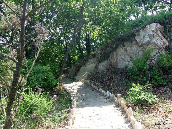 闲游大连 DSCF4730