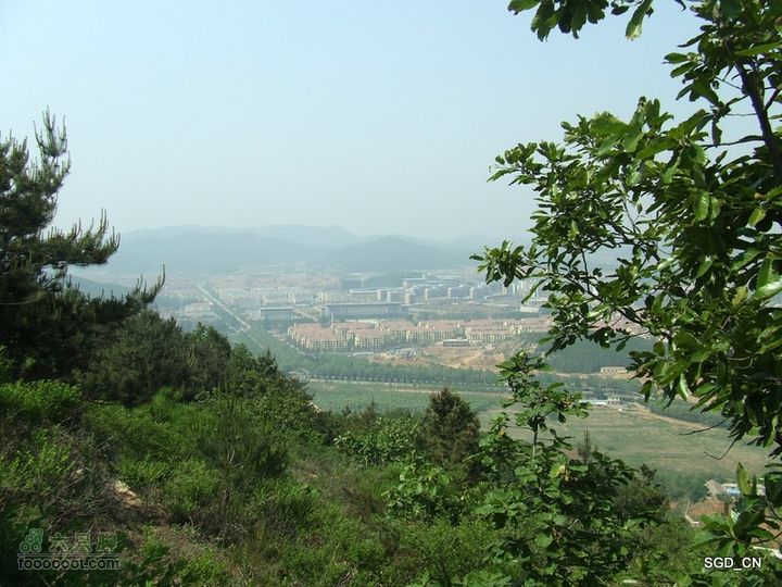 闲游大连 DSCF4731
