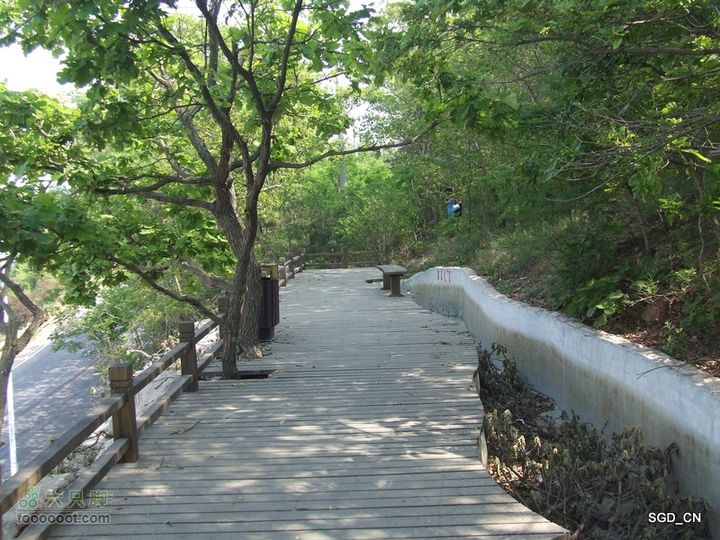 闲游大连 DSCF4759