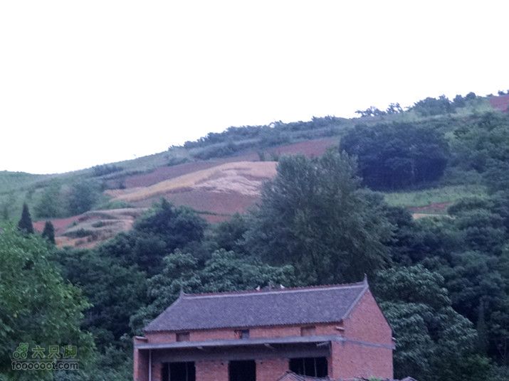 5.30,31 骑行大洋峪 登高云台山（二）登山部分DSC00340_副本