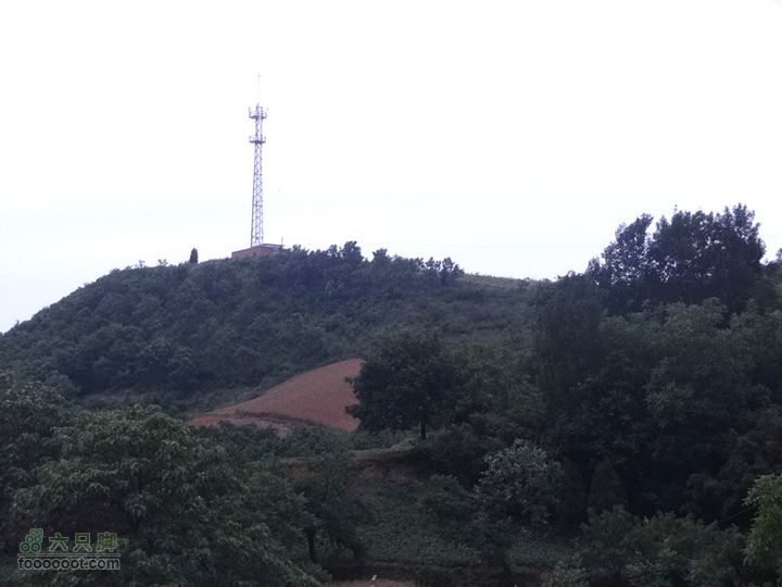 5.30,31 骑行大洋峪 登高云台山（二）登山部分DSC00341_副本