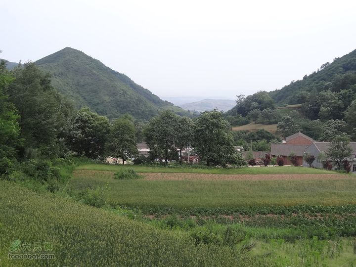 5.30,31 骑行大洋峪 登高云台山（二）登山部分DSC00345_副本