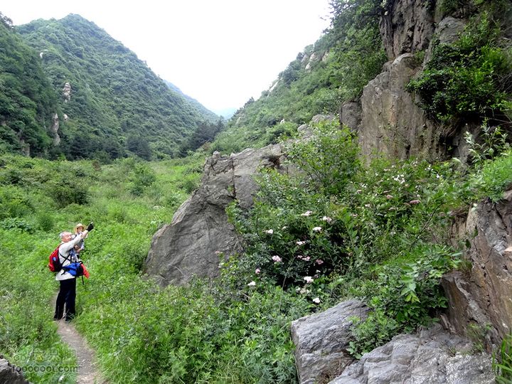5.30,31 骑行大洋峪 登高云台山（二）登山部分DSC00351_副本