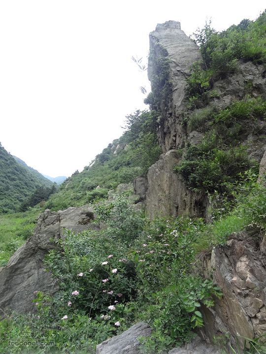 5.30,31 骑行大洋峪 登高云台山（二）登山部分DSC00352_副本