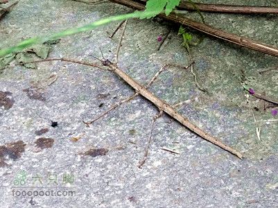 5.30,31 骑行大洋峪 登高云台山（二）登山部分DSC00362_副本