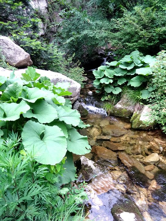 5.30,31 骑行大洋峪 登高云台山（二）登山部分DSC00366_副本