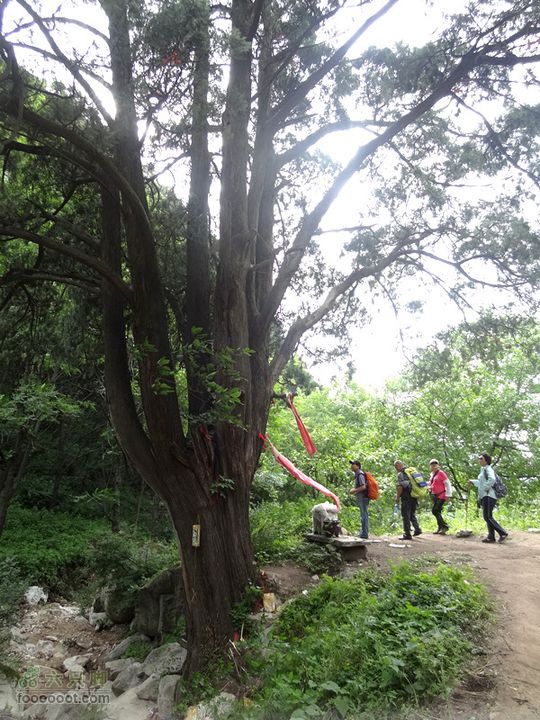 6.2 九鼎万花山--黑沟穿越DSC00821_副本