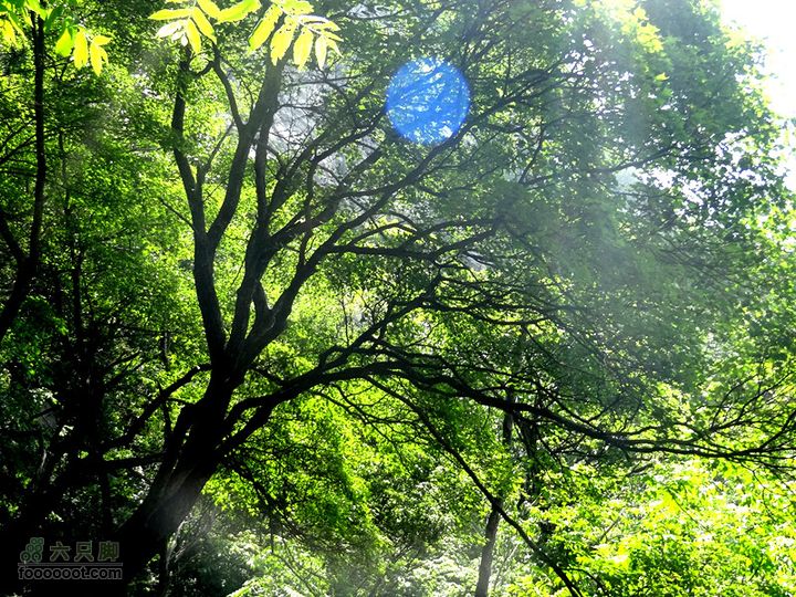 6.2 九鼎万花山--黑沟穿越DSC00598_副本