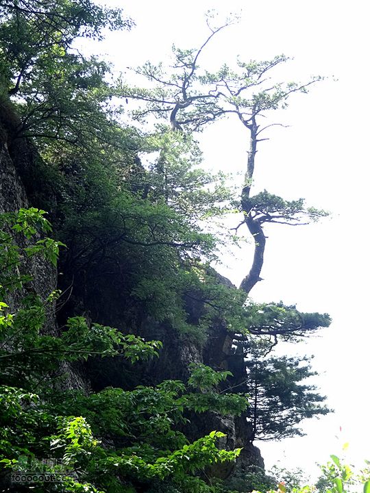 6.2 九鼎万花山--黑沟穿越DSC00614_副本
