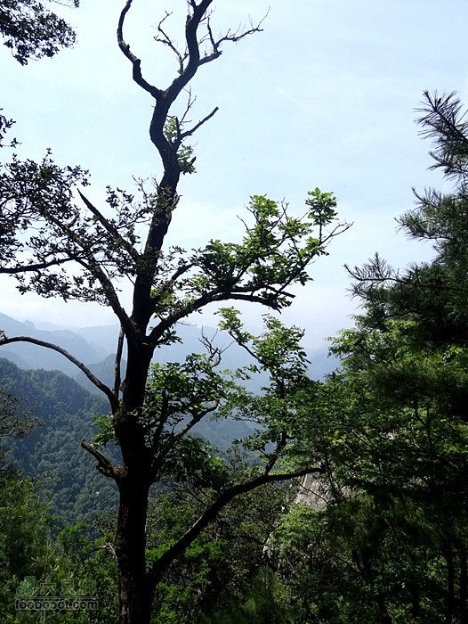 6.2 九鼎万花山--黑沟穿越DSC00622_副本