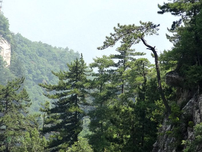 6.2 九鼎万花山--黑沟穿越DSC00628_副本