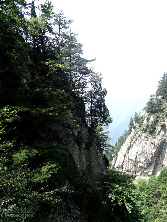 6.2 九鼎万花山--黑沟穿越DSC00645_副本