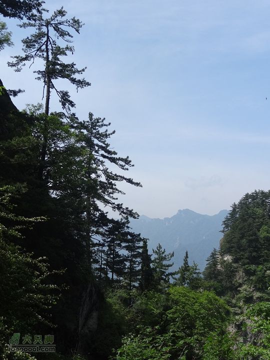 6.2 九鼎万花山--黑沟穿越DSC00648_副本