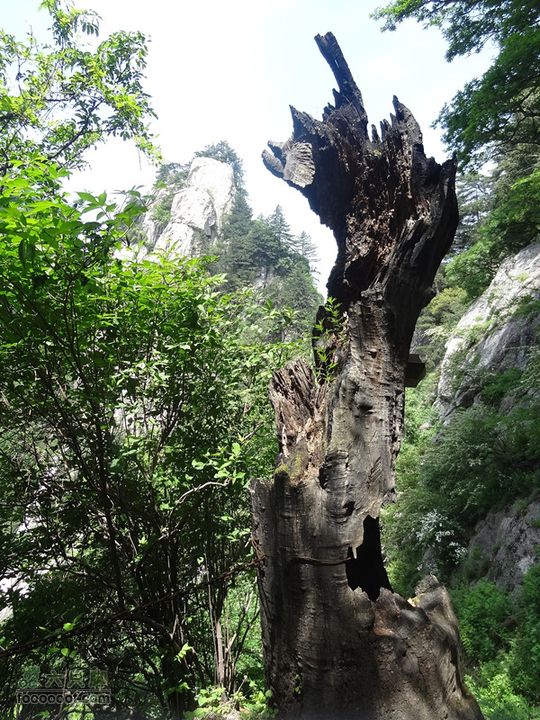 6.2 九鼎万花山--黑沟穿越DSC00654_副本