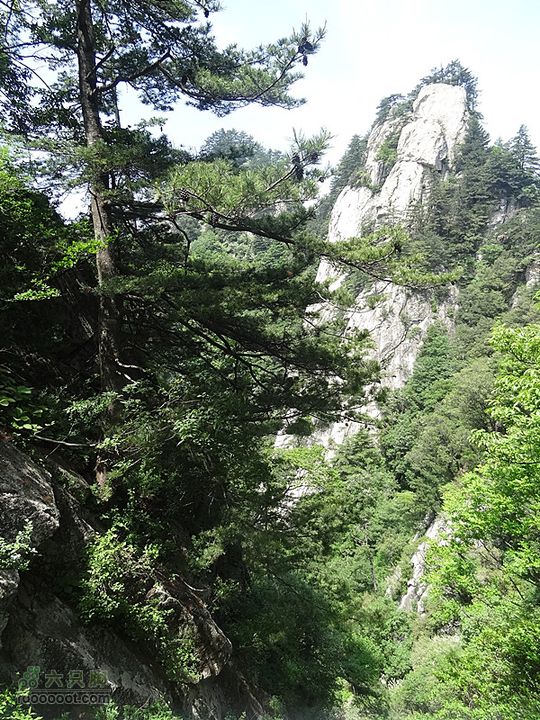 6.2 九鼎万花山--黑沟穿越DSC00656_副本