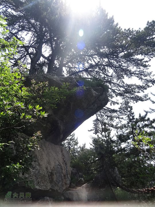 6.2 九鼎万花山--黑沟穿越DSC00664_副本