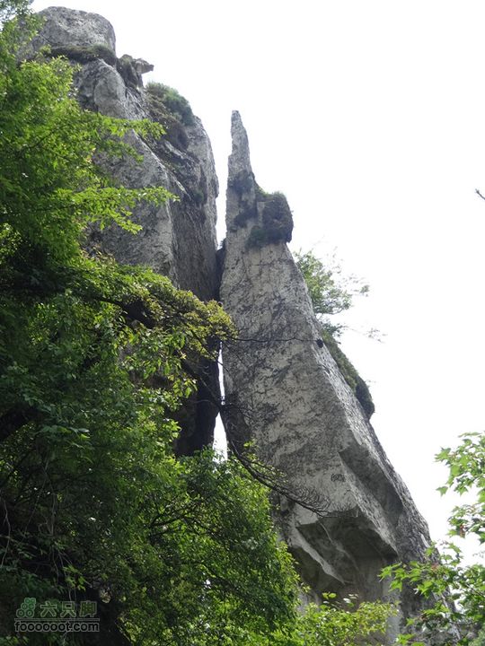 6.2 九鼎万花山--黑沟穿越DSC00755_副本