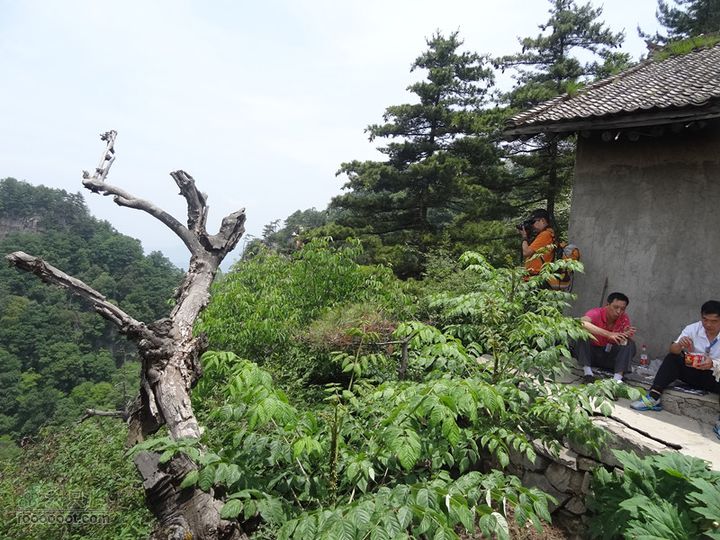 6.2 九鼎万花山--黑沟穿越DSC00760_副本