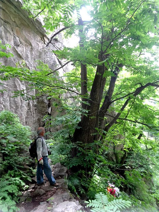 6.2 九鼎万花山--黑沟穿越DSC00768_副本