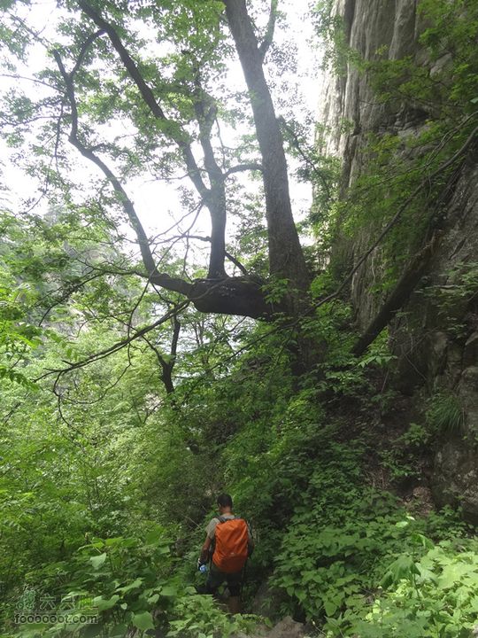 6.2 九鼎万花山--黑沟穿越DSC00772_副本